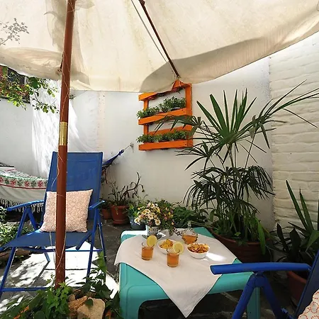 Tibone In Lingotto Area *